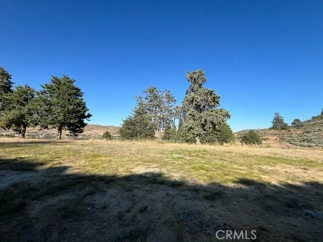 40007 92nd Street W Leona Valley, CA 93551