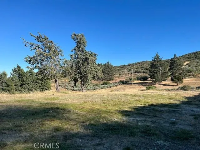 40007 92nd Street W Leona Valley, CA 93551