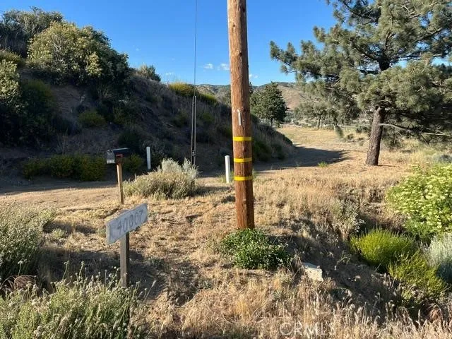 40007 92nd Street W Leona Valley, CA 93551