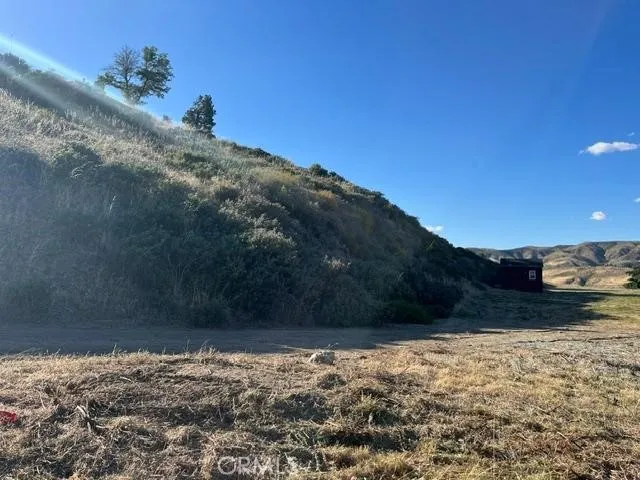 40007 92nd Street W Leona Valley, CA 93551