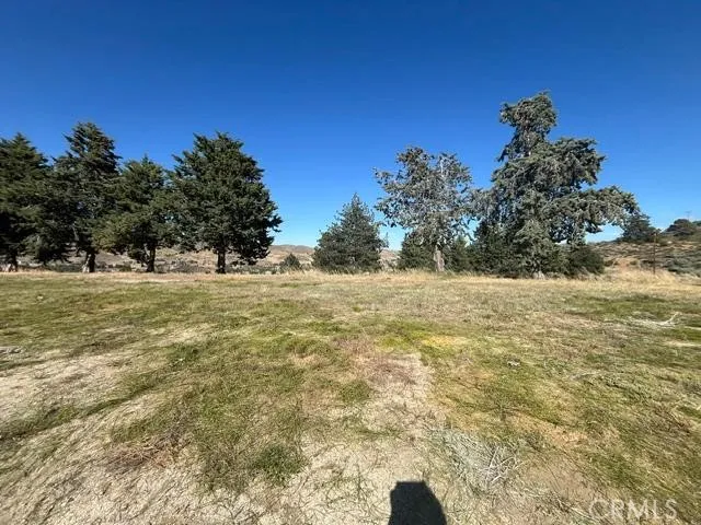 40007 92nd Street W Leona Valley, CA 93551