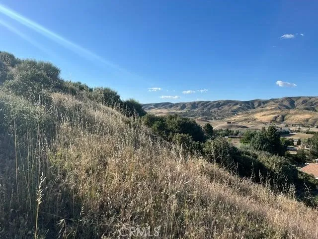 40007 92nd Street W Leona Valley, CA 93551
