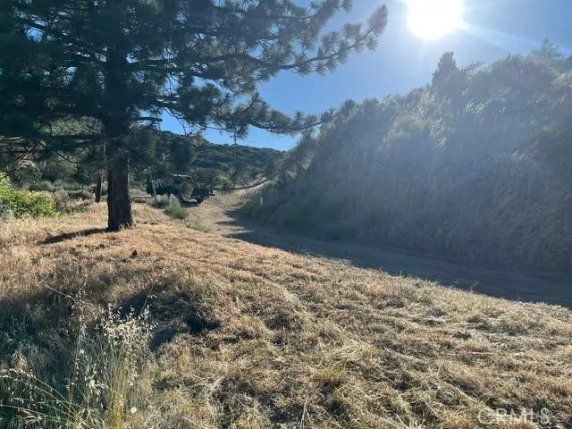 40007 92nd Street W Leona Valley, CA 93551