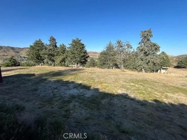40007 92nd Street W Leona Valley, CA 93551