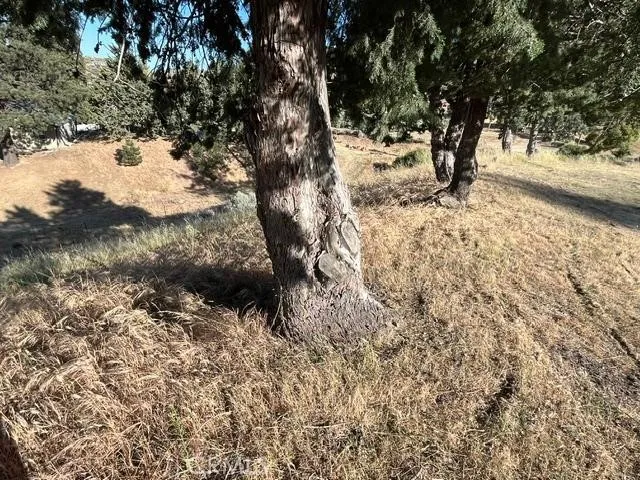 40007 92nd Street W Leona Valley, CA 93551