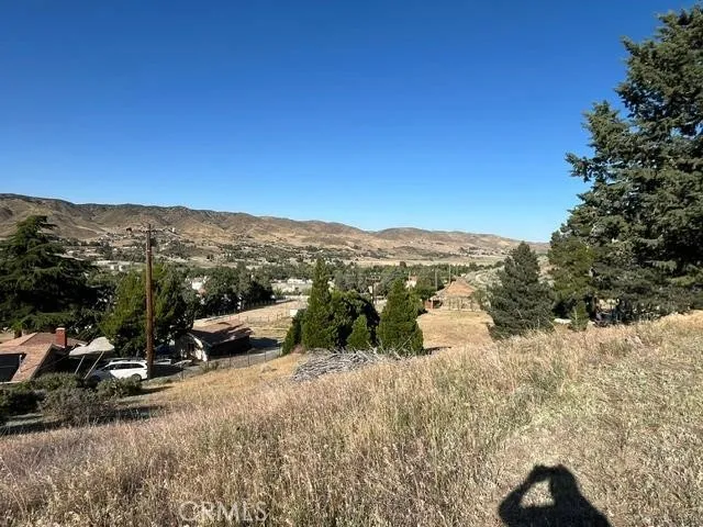 40007 92nd Street W Leona Valley, CA 93551