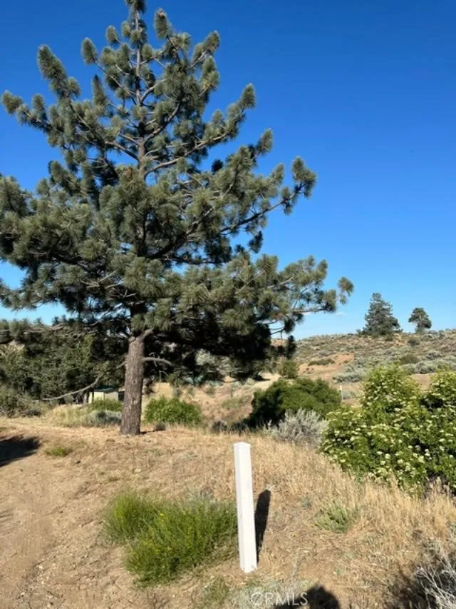 40007 92nd Street W Leona Valley, CA 93551