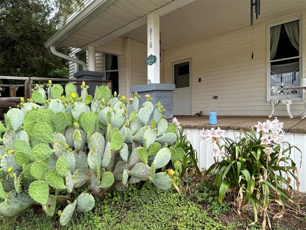 916 AUSTIN STREET Coleman, TX 76834