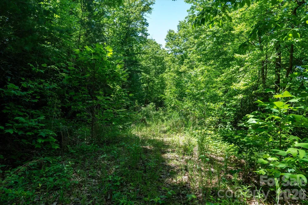 99999 Winding Ridge Road Fairview, NC 28730