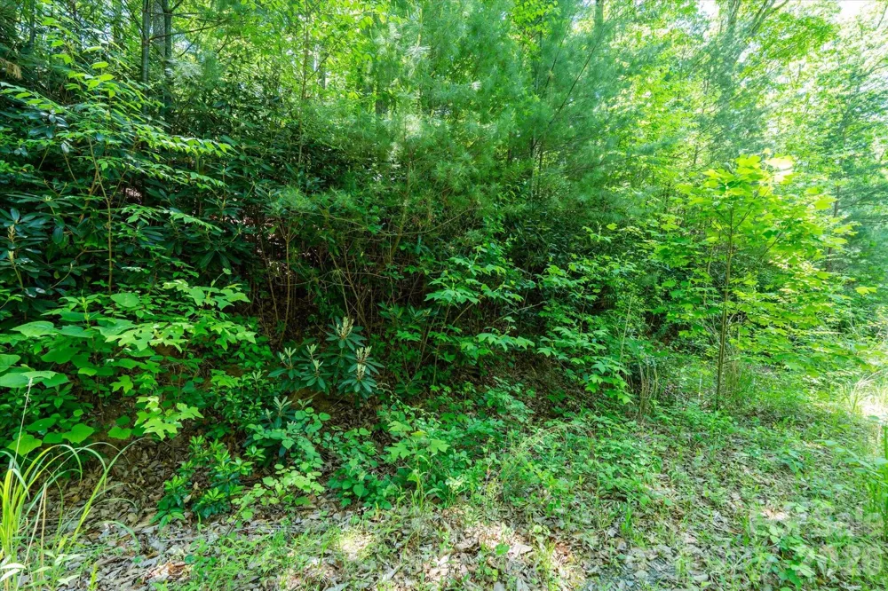 99999 Winding Ridge Road Fairview, NC 28730