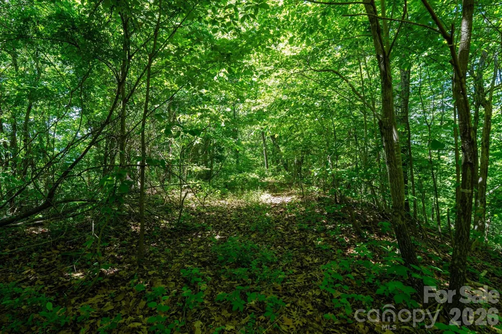 99999 Winding Ridge Road Fairview, NC 28730