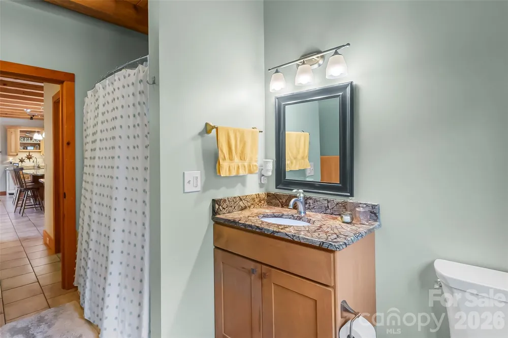 482 Gap Creek Road Zirconia, NC 28790