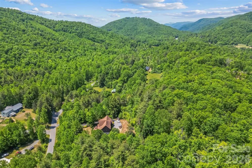 482 Gap Creek Road Zirconia, NC 28790
