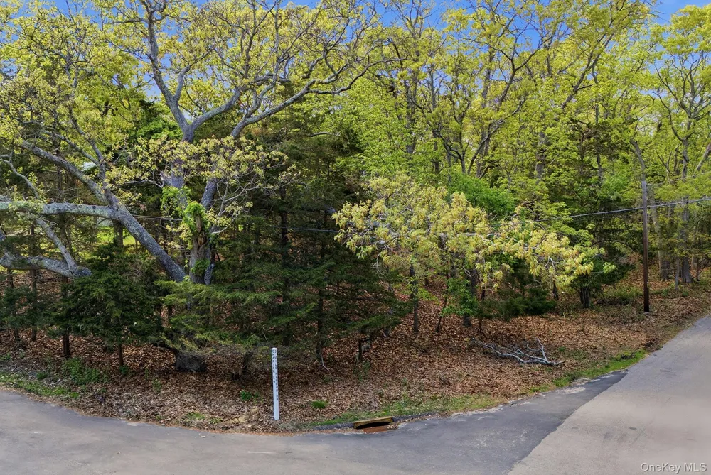 27 Three Mile Harbor Drive East Hampton, NY 11937