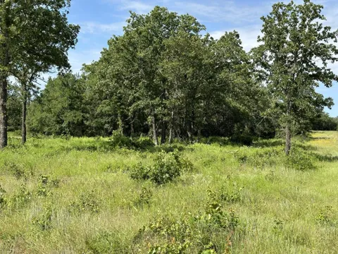 Paradise Oaks
