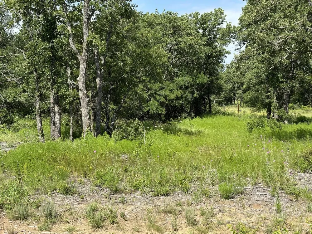 Paradise Oaks Perrin, TX 76486