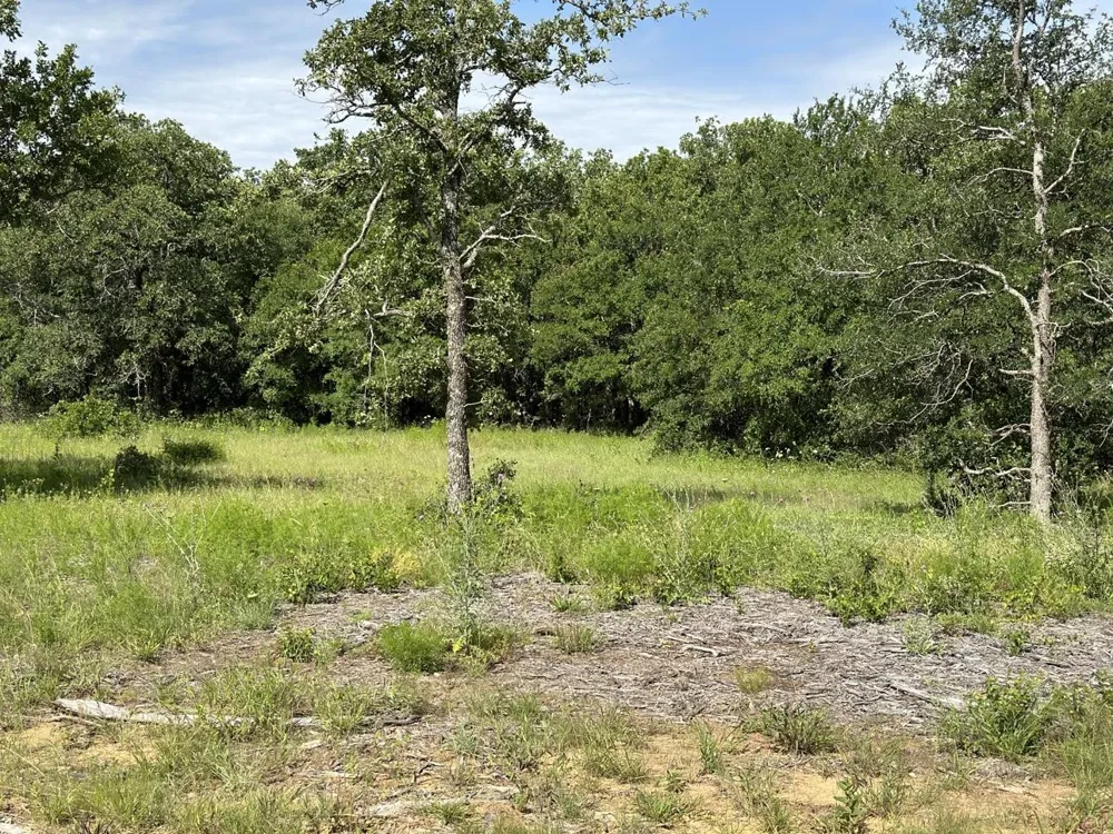Paradise Oaks Perrin, TX 76486