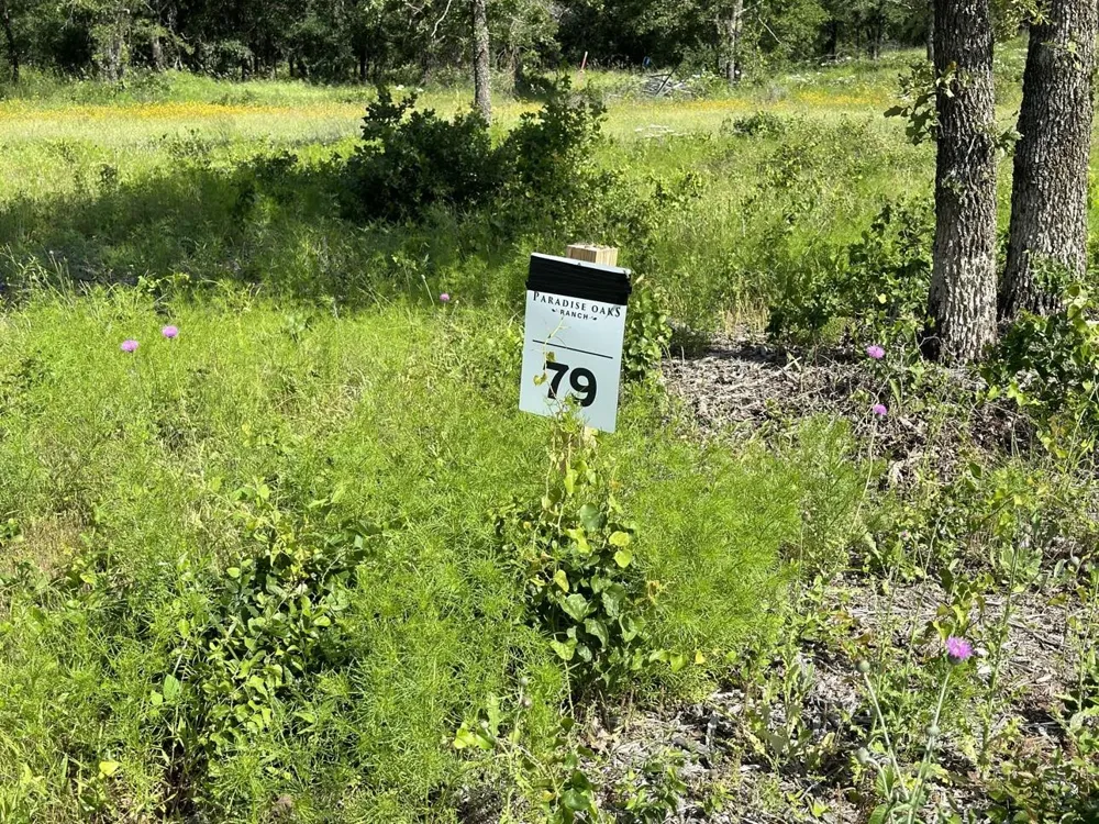 Paradise Oaks Perrin, TX 76486