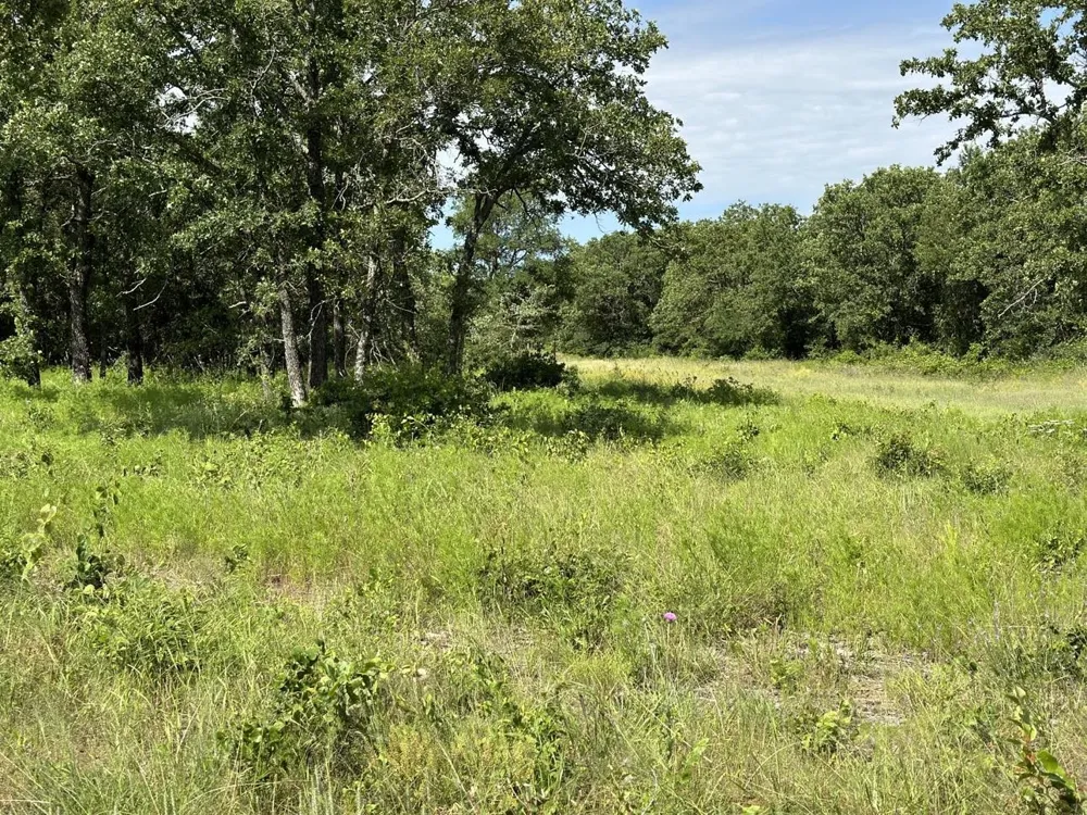 Paradise Oaks Perrin, TX 76486
