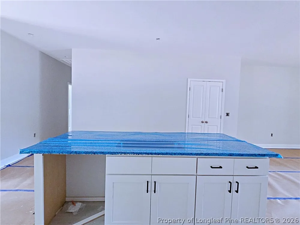 490 Needmore Road Carthage, NC 28327