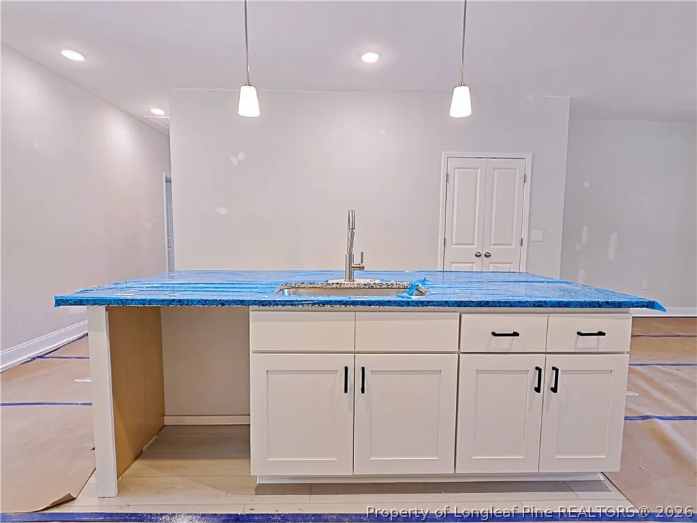 490 Needmore Road Carthage, NC 28327