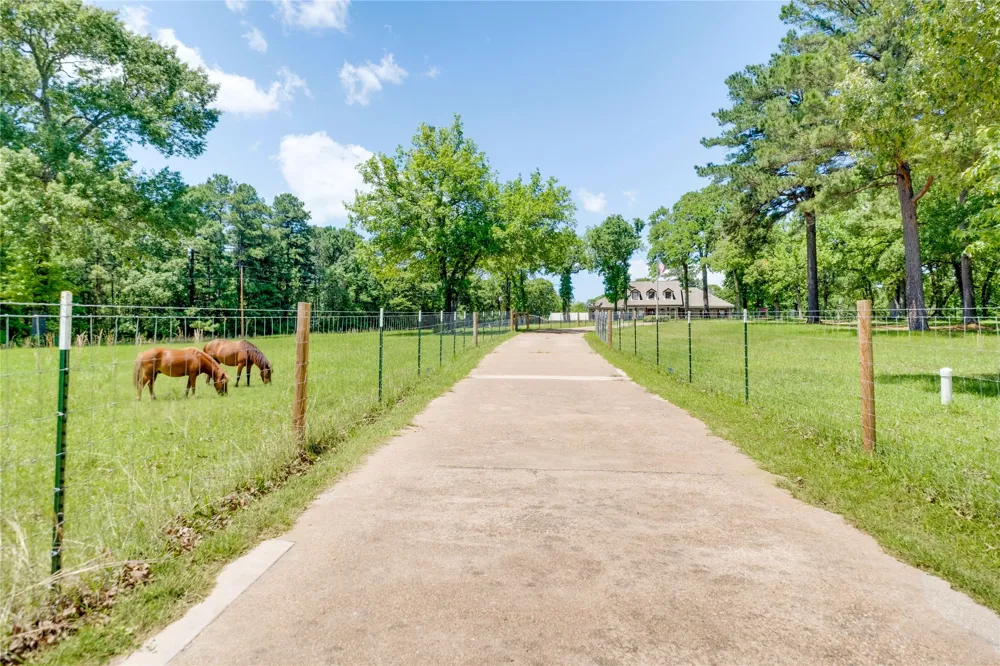 231 An County Road 2105 Palestine, TX 75801