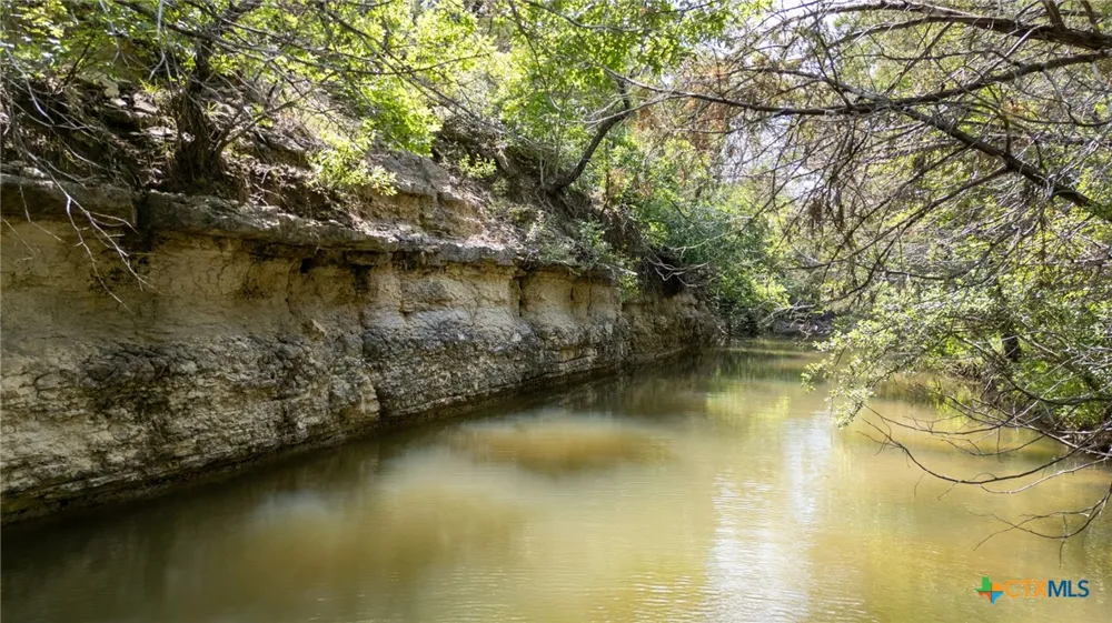 1233 County Road 434 Hamilton, TX 76531