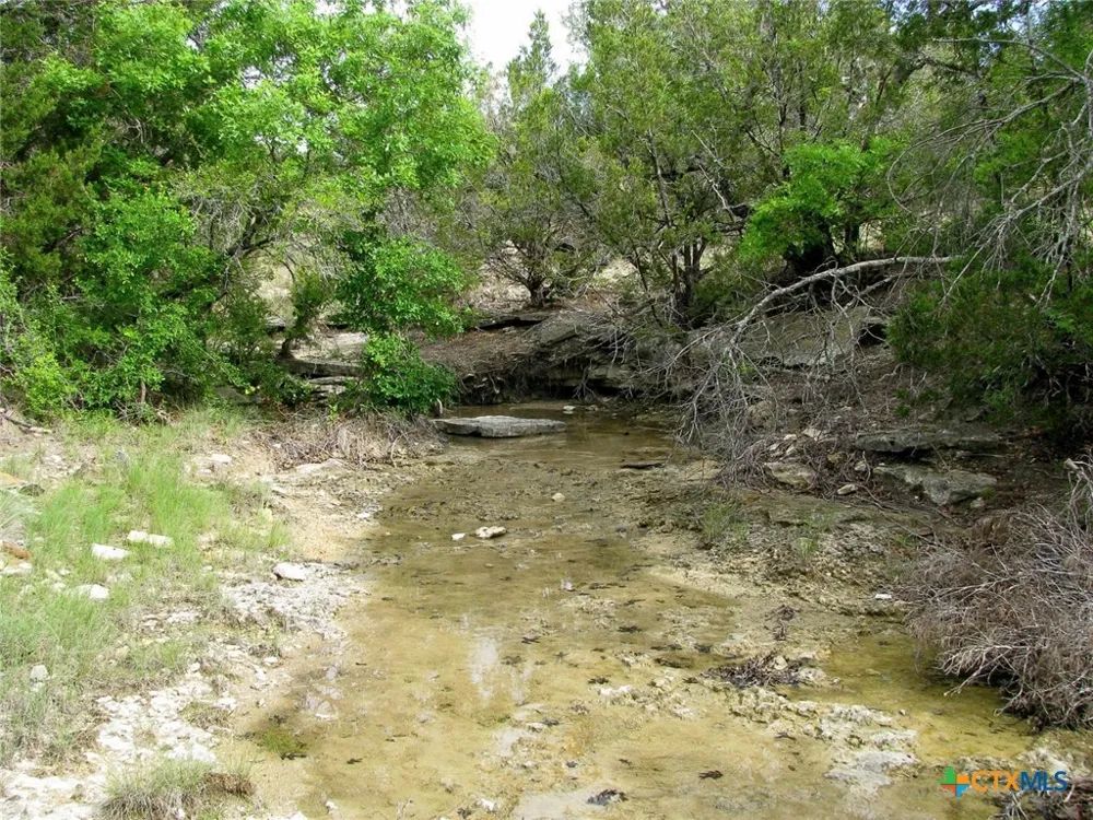 1233 County Road 434 Hamilton, TX 76531