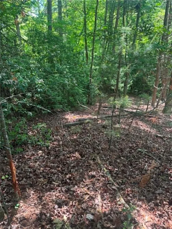 Lot 19 Fawn Lane Hayes, NC 28635