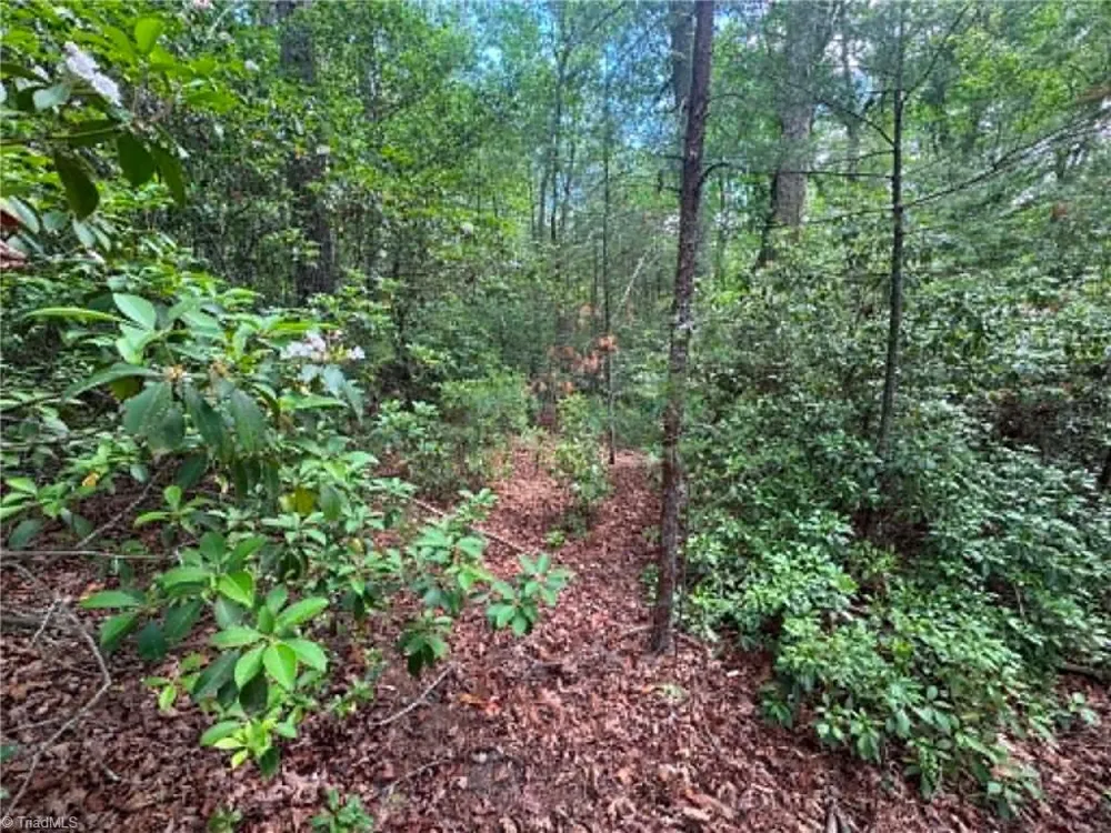 Lot 19 Fawn Lane Hayes, NC 28635