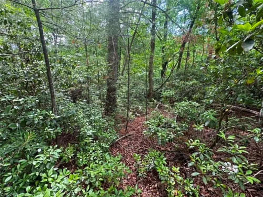 Lot 19 Fawn Lane Hayes, NC 28635