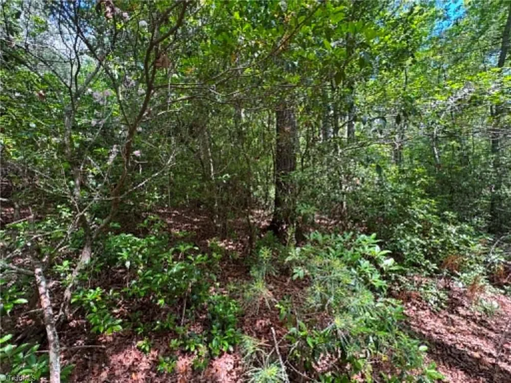 Lot 19 Fawn Lane Hayes, NC 28635