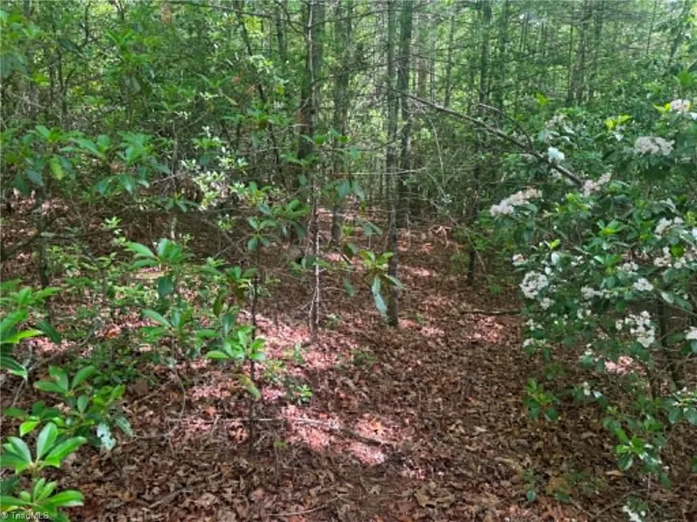 Lot 19 Fawn Lane Hayes, NC 28635