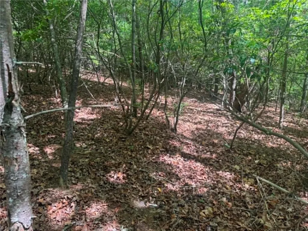Lot 19 Fawn Lane Hayes, NC 28635