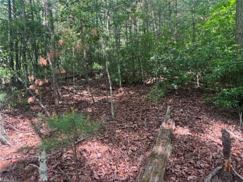 Lot 19 Fawn Lane Hayes, NC 28635