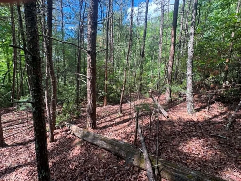 Lot 19 Fawn Lane Hayes, NC 28635