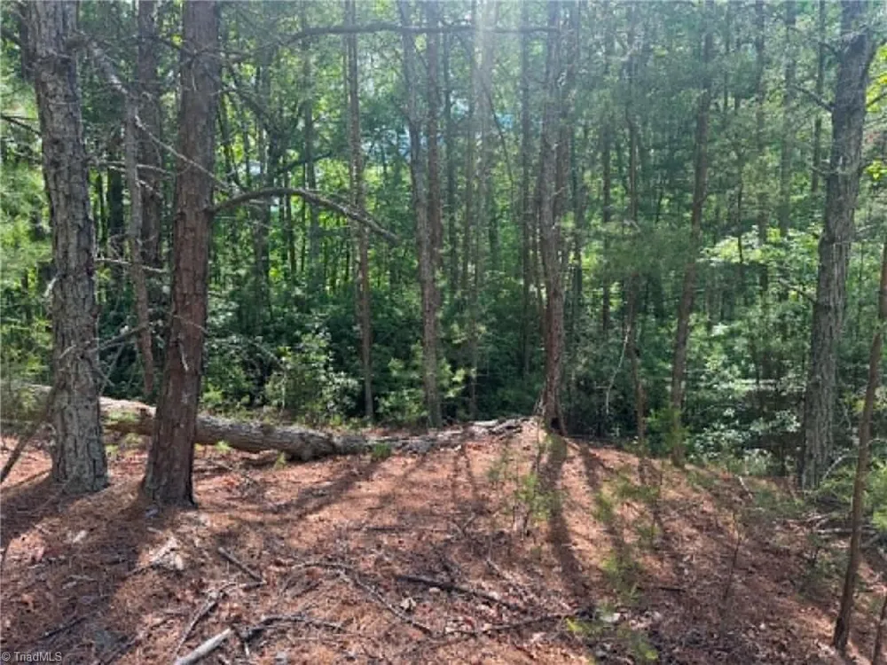 Lot 19 Fawn Lane Hayes, NC 28635