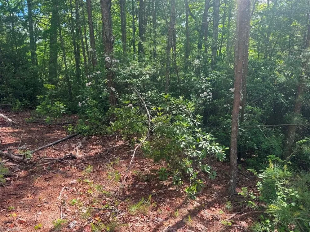 Lot 19 Fawn Lane Hayes, NC 28635
