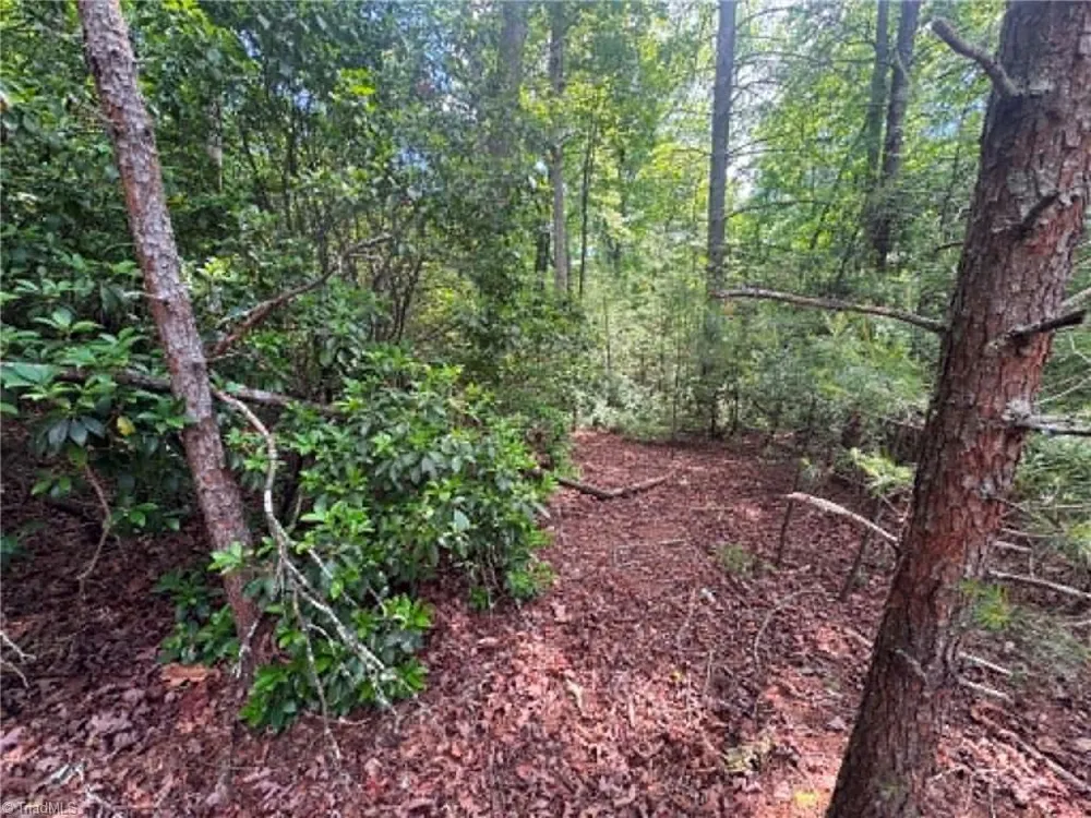 Lot 19 Fawn Lane Hayes, NC 28635