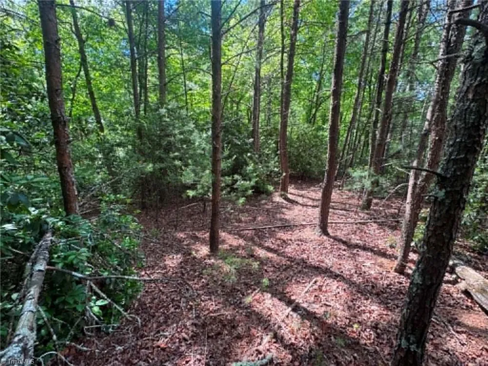 Lot 19 Fawn Lane Hayes, NC 28635