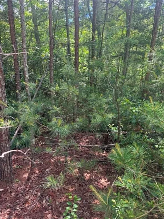 Lot 19 Fawn Lane Hayes, NC 28635