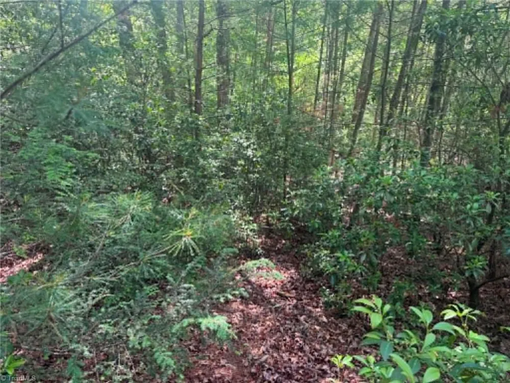 Lot 19 Fawn Lane Hayes, NC 28635