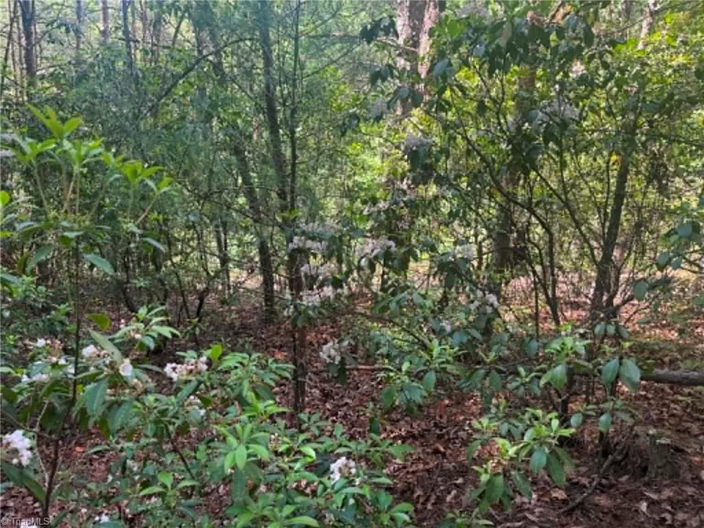 Lot 19 Fawn Lane Hayes, NC 28635