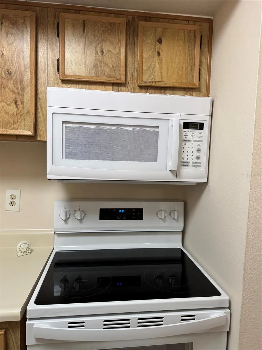 4033 DREAM OAK PLACE #101 Tampa, FL 33613