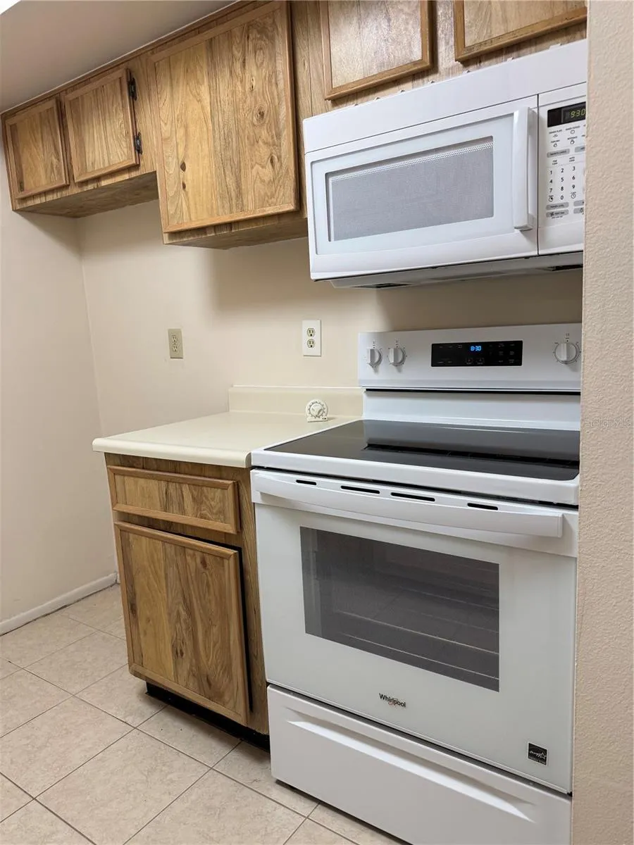 4033 DREAM OAK PLACE #101 Tampa, FL 33613