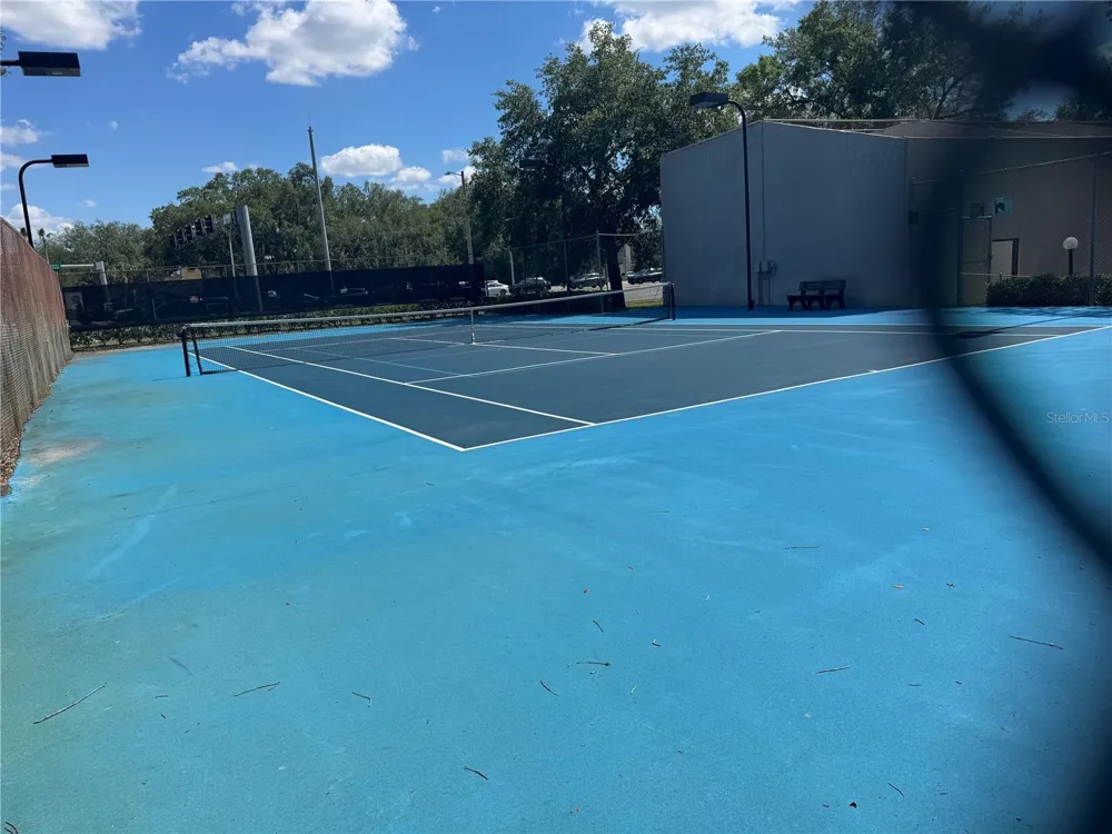 4033 DREAM OAK PLACE #101 Tampa, FL 33613