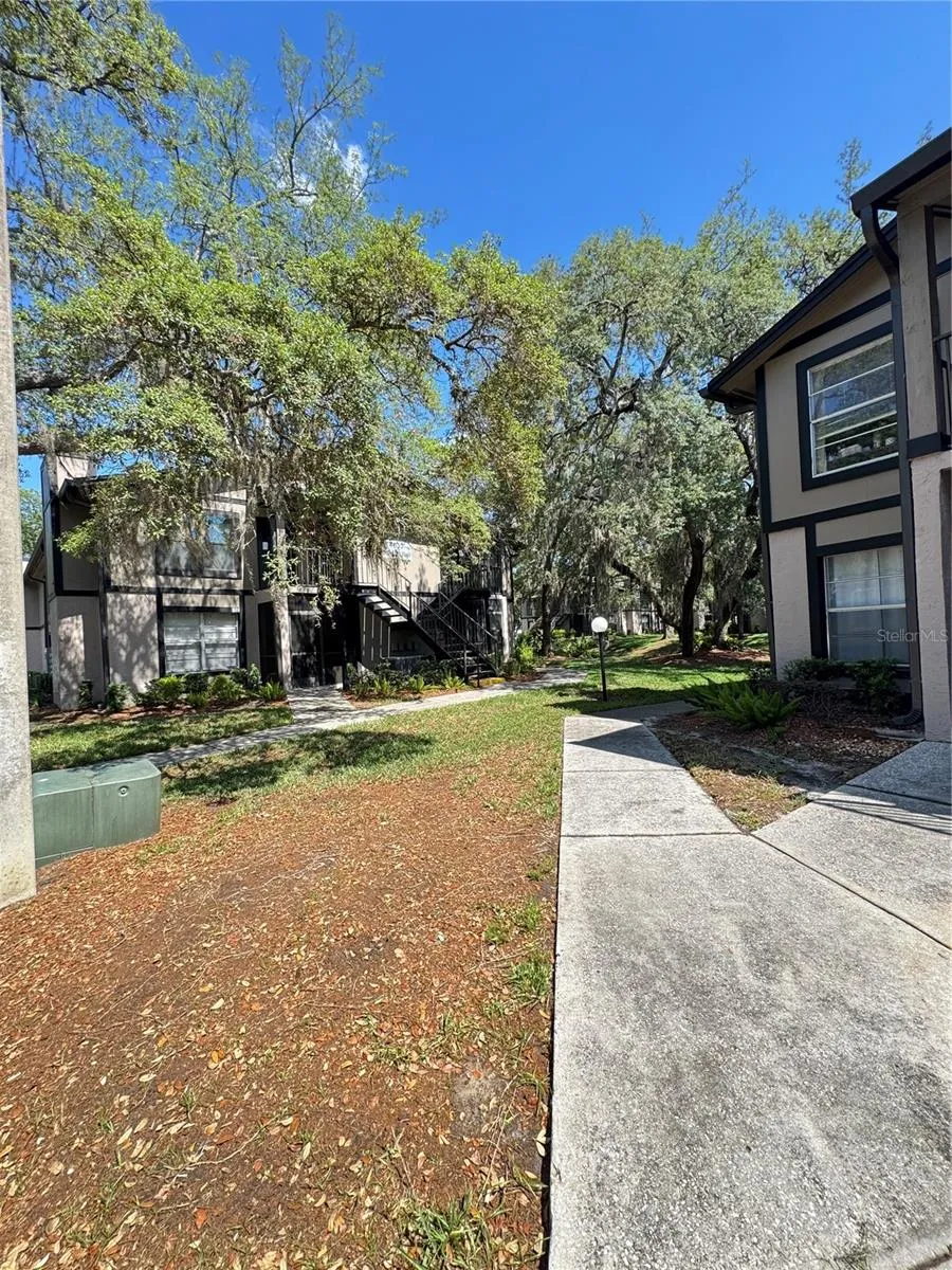 4033 DREAM OAK PLACE #101 Tampa, FL 33613