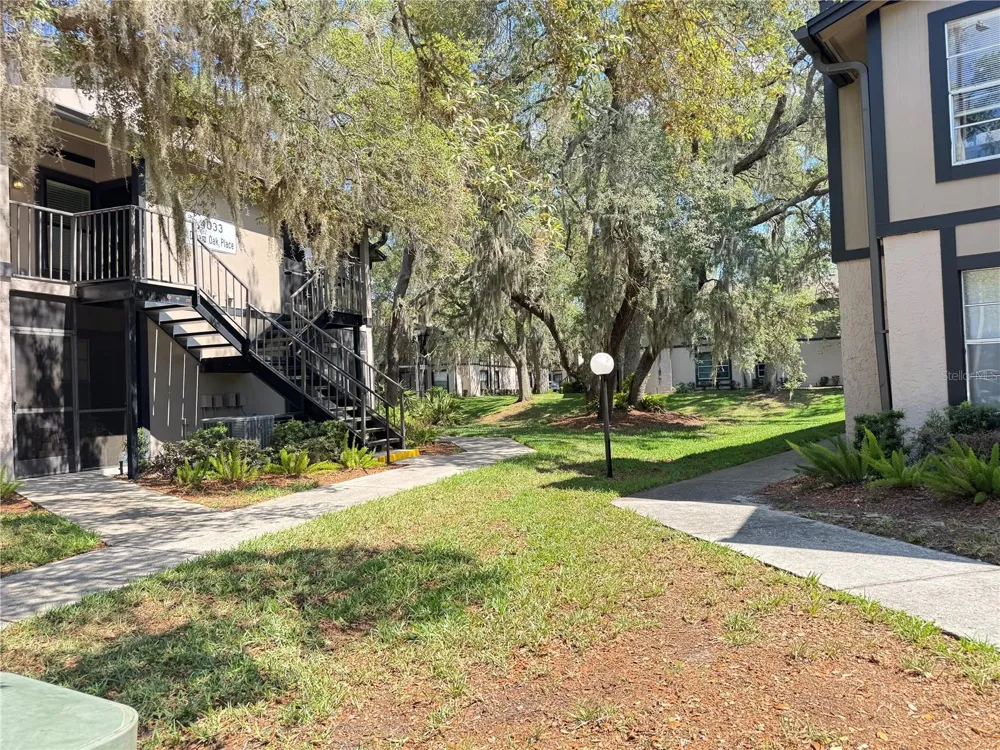 4033 DREAM OAK PLACE #101 Tampa, FL 33613