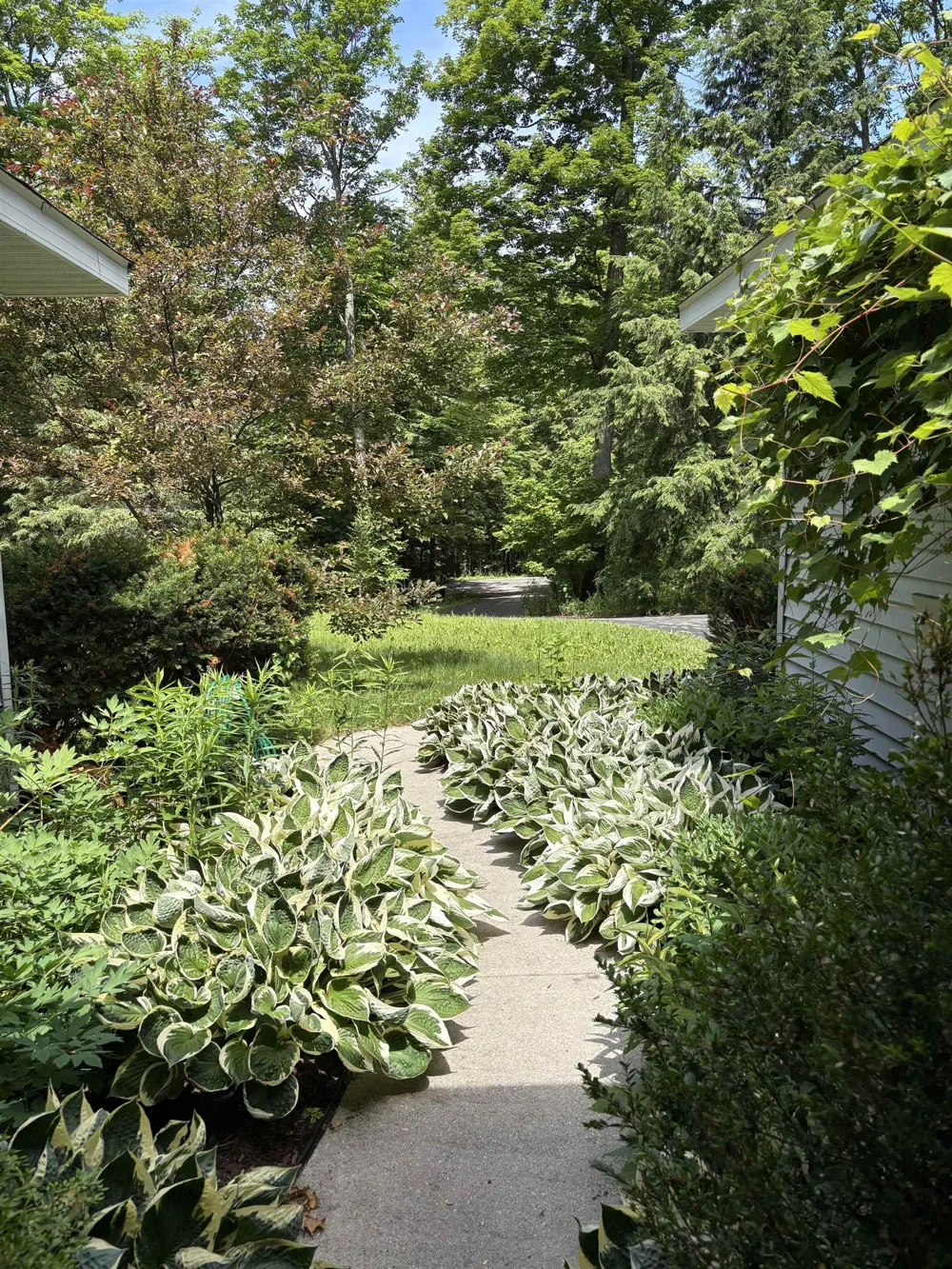 14416 Peninsula Drive Peninsula Township, MI 49686