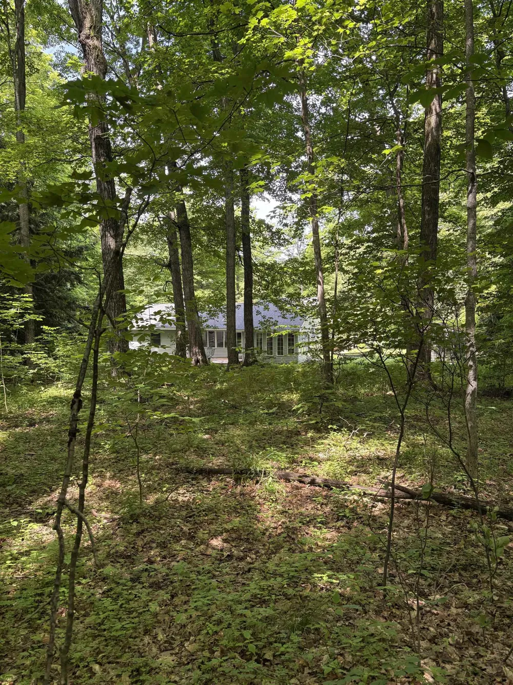 14416 Peninsula Drive Peninsula Township, MI 49686